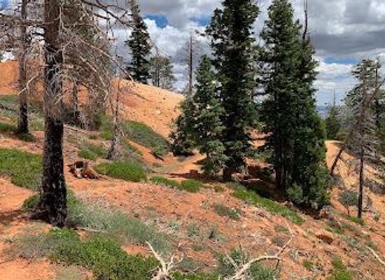 utah/bryce-canyon-city/attraction/under-the-rim-trail