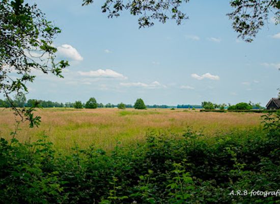 netherlands/drenthe/attraction/havezathe-de-klencke