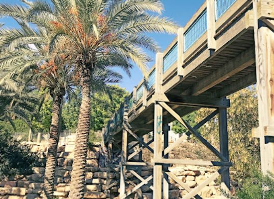 israel/beersheba/attraction/eliyahu-vaknin-garden