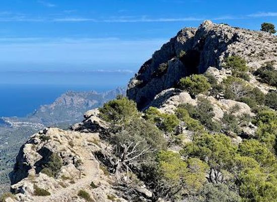 spain/serra-de-tramuntana/attraction/cami-de-s-arxiduc