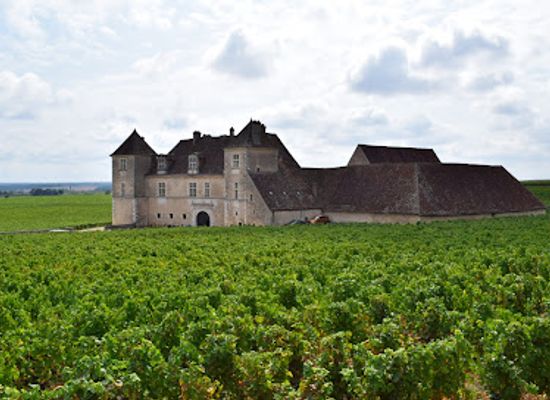 france/burgundy-vineyards/attraction/le-cassissium