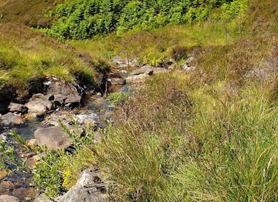 united-kingdom/nairnshire/attraction/devil-s-elbow-viewpoint