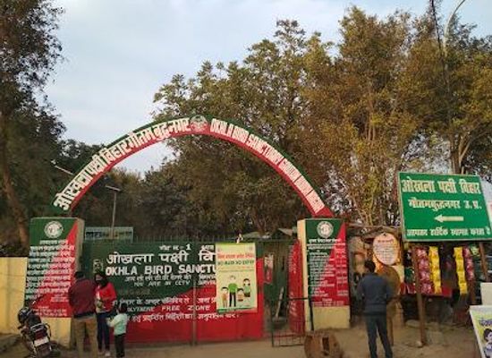 india/delhi/attraction/okhla-bird-sanctuary
