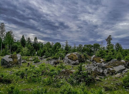 sweden/norrbotten/attraction/bodagrottornas-naturreservat