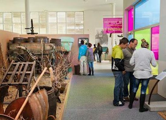 france/pays-de-la-loire/attraction/musee-du-vignoble-nantais