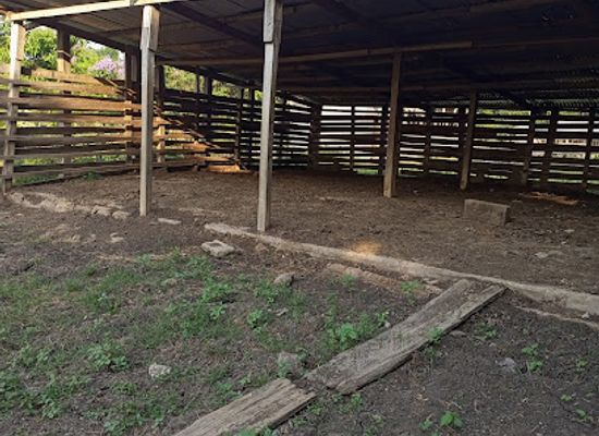 cameroon/ngog-lituba/attraction/ferme-agro-touristique-de-bilone