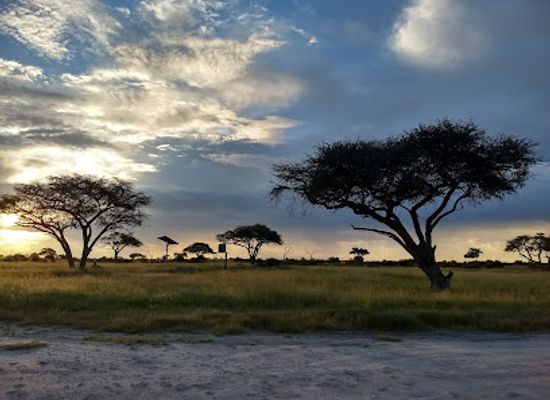zimbabwe/hwange/attraction/hwange-national-park