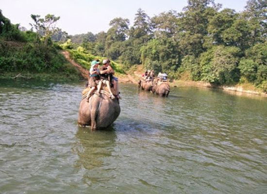 nepal/chitwan/attraction/chitwan-jungle-safari