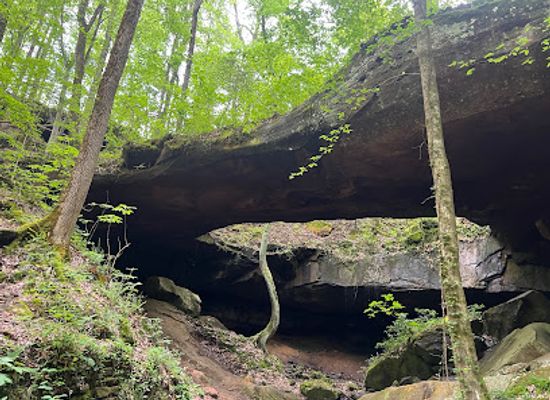 alabama/bankhead-national-forest/attraction/natural-bridge-hiking-trail