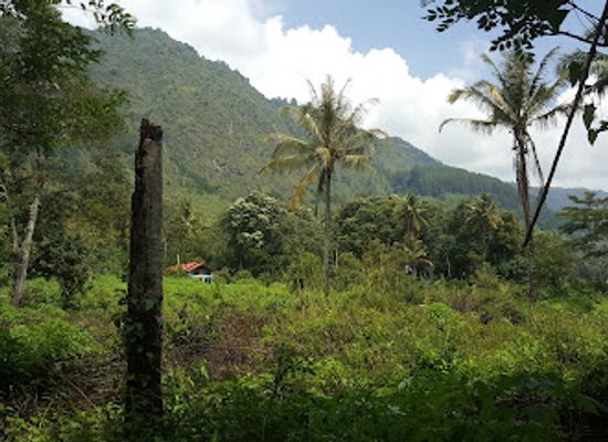 indonesia/north-sumatra/attraction/simangande-waterfall