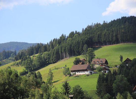 austria/murztal/attraction/schreinhofer-muhle