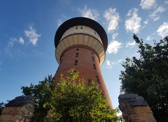 latvia/zemgale/attraction/water-tower
