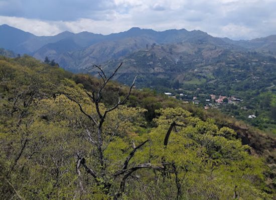 ecuador/loja/attraction/rumi-wilco-nature-reserve