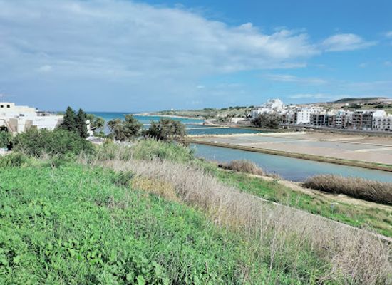 malta/mistra-bay/attraction/salina-national-park