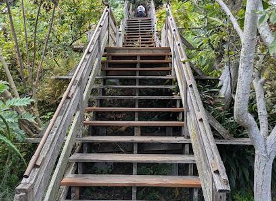 california/oakland/attraction/filbert-steps