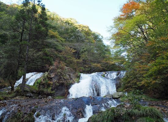 japan/kanto/attraction/tamasudare-falls