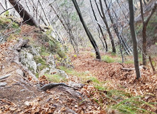slovenia/upper-carniola/attraction/slap-sprucar