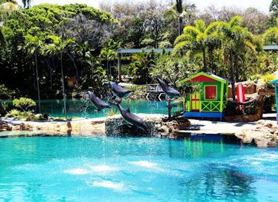 australia/gold-coast/attraction/sea-world