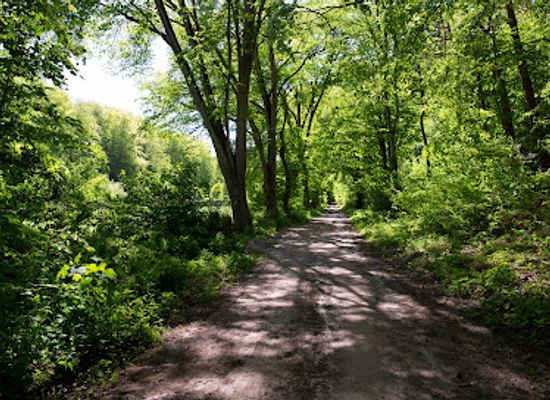 poland/pomerania/attraction/zrodliska-nature-reserve-in-the-eve-valley