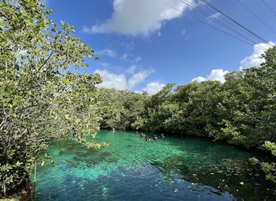 mexico/southeastern-mexico/attraction/underwater-mexico
