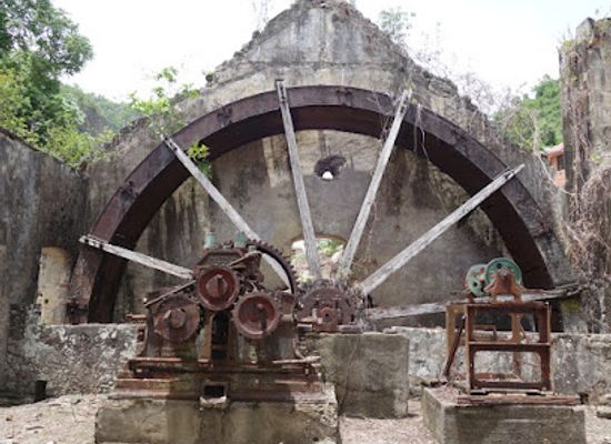 dominica/champagne-reef/attraction/citronier-mills