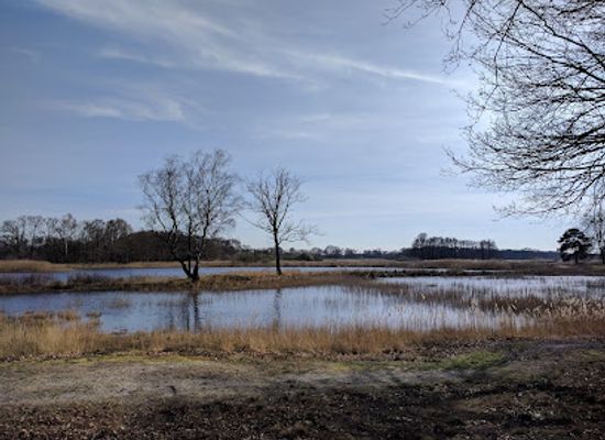 belgium/genk/attraction/genk-natuurgebied-de-maten