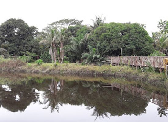 nigeria/tiv/attraction/lufasi-nature-park-lagos