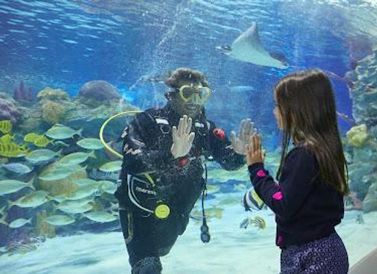 turkiye/istanbul/attraction/emaar-akvaryum