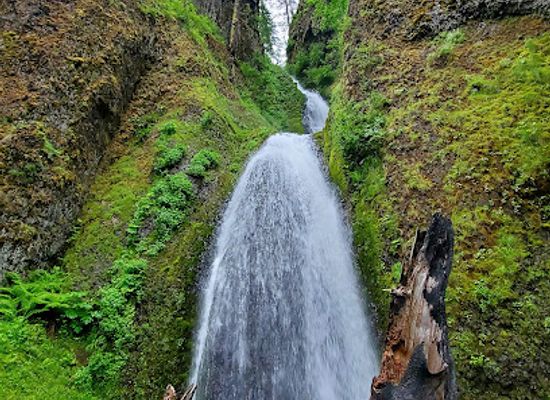 oregon/cascade-mountains/attraction/wahkeena-falls