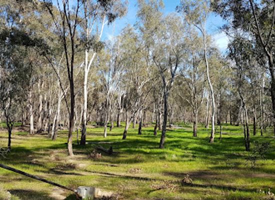 australia/goulburn-valley/attraction/native-flora-and-fauna-reserve
