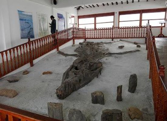 colombia/tunja/attraction/fossil