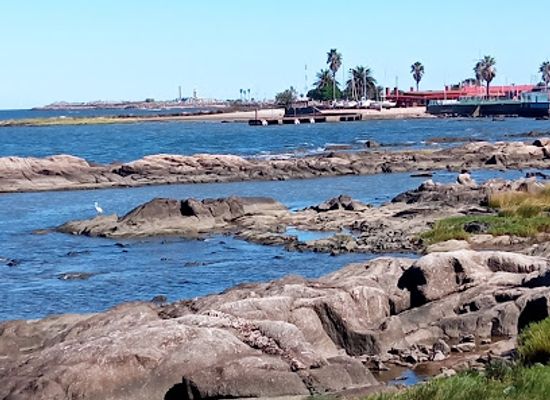 uruguay/south-coast/attraction/universo-pittamiglio-castillo-del-alquimista