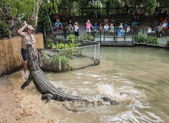 australia/cairns/attraction/hartley-s-crocodile-adventures