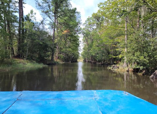 mexico/gulf-coast/attraction/gulf-coast-gator-ranch-tours