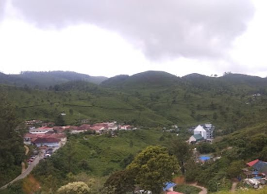 india/western-ghats/attraction/munnar-hill-station-the-kashmir-of-south-india-idukki-district-kerala-india