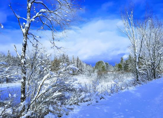 canada/haliburton-highlands/attraction/haliburton-county-rail-trail