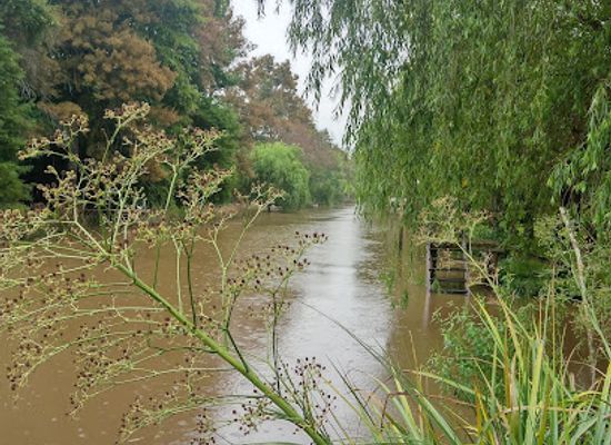 argentina/tigre/attraction/canal-rompani