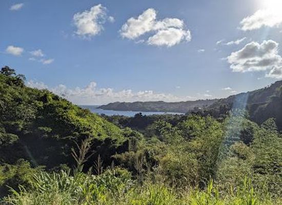 trinidad-and-tobago/st-mary/attraction/shurland-james-hummingbird-nature-park