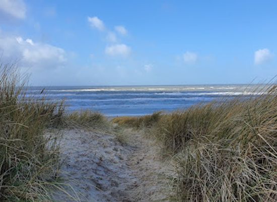 netherlands/egmond-aan-zee/attraction/ingang-noordhollands-duinreservaat-aan-de-doctor-wiardi-beckmanlaan-1931-egmond-aan-zee