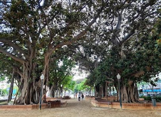spain/alicante/attraction/parc-canalejas