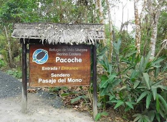 ecuador/manta/attraction/refugio-de-vida-silvestre-y-marino-costera-pacoche
