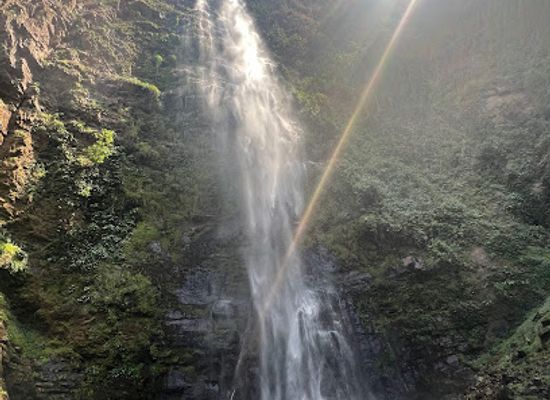 togo/plateaux-region/attraction/tourist-reception-office-wli-agumatsa-waterfall