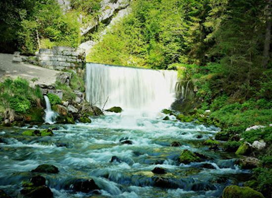 france/franche-comte/attraction/source-du-doubs