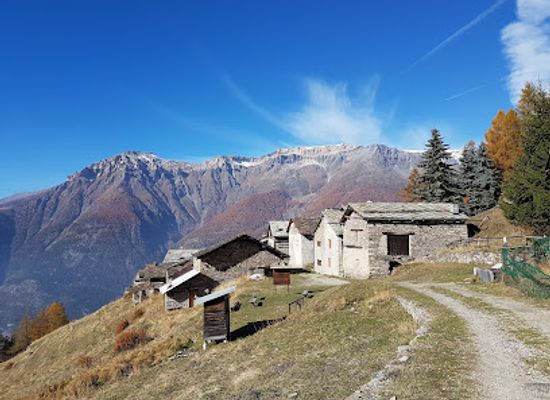 italy/val-di-susa/attraction/parco-naturale-del-gran-bosco-di-salbertrand