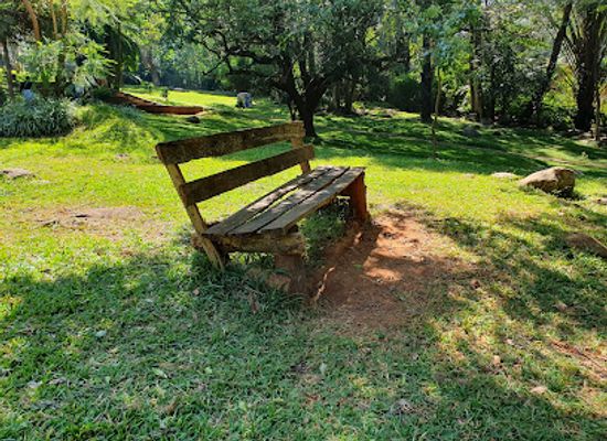 malawi/zomba-plateau/attraction/botanical-garden