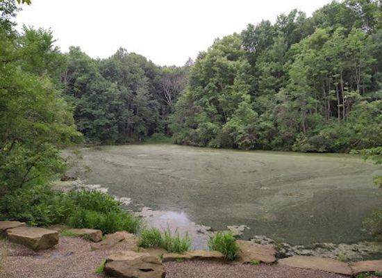 ohio/akron/attraction/summit-metro-parks