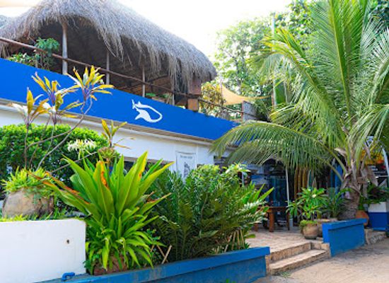 mozambique/tofo-beach/attraction/diversityscuba