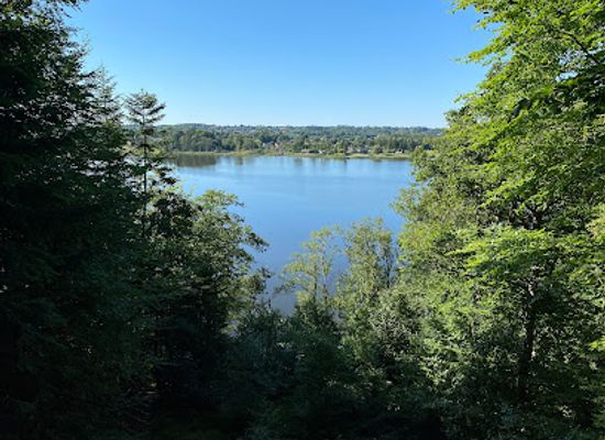 denmark/silkeborg/attraction/silkeborg-park