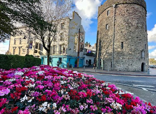 ireland/county-waterford/attraction/reginald-s-tower