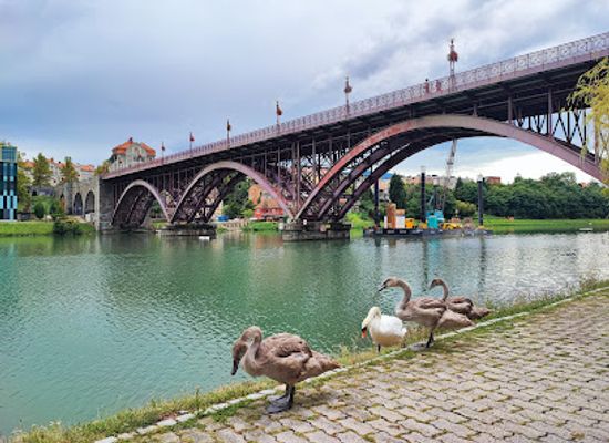 slovenia/maribor/lent/attraction/stari-most